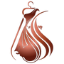 Logo of Kaprasaaz with a stylized dress on a hanger and the brand name below.